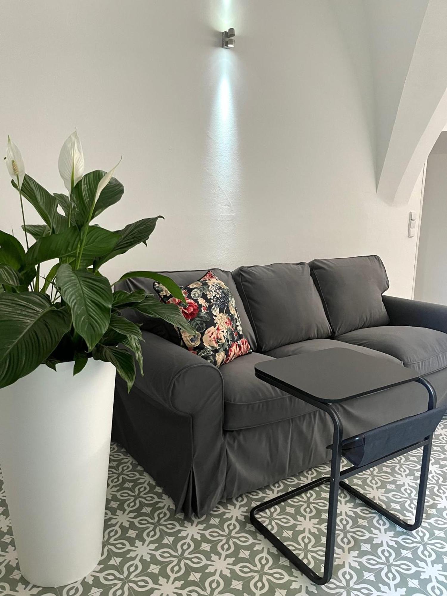 Palac Daun - Studio Apartments 兹诺伊莫 外观 照片