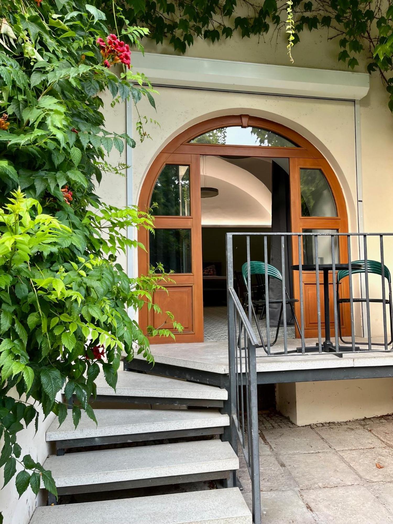 Palac Daun - Studio Apartments 兹诺伊莫 外观 照片