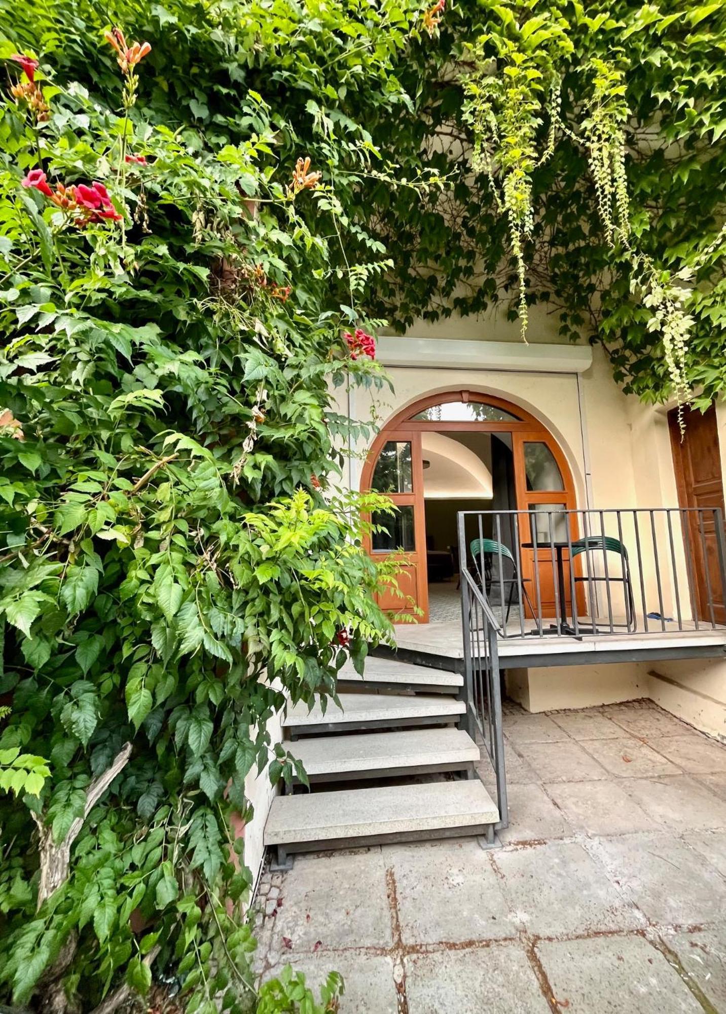 Palac Daun - Studio Apartments 兹诺伊莫 外观 照片